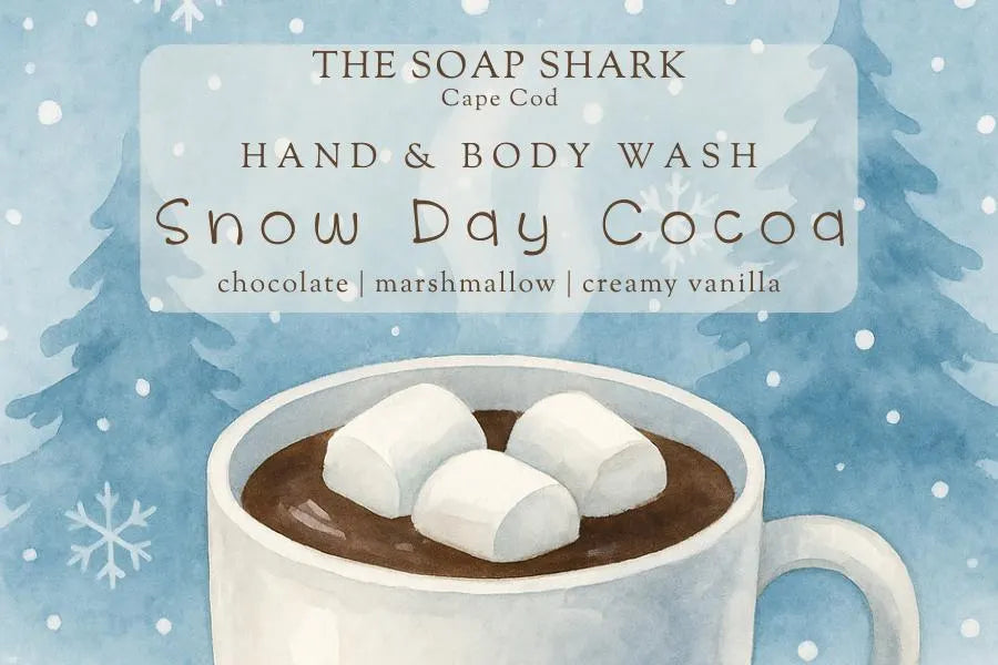 LIQUID HAND & BODY WASH | SNOW DAY COCOA