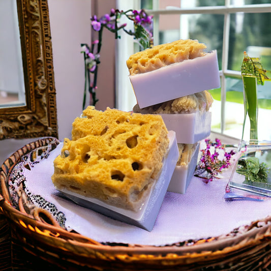 SEA SPONGE SOAP | VANILLA ORCHARD