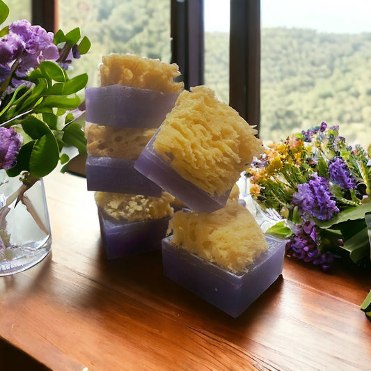 SEA SPONGE SOAP | VIOLET MEADOWS