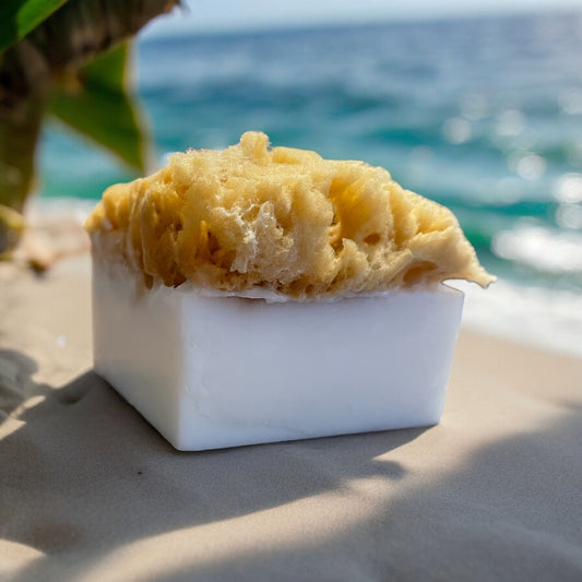 SEA SPONGE SOAP | SIMPLY SOAP